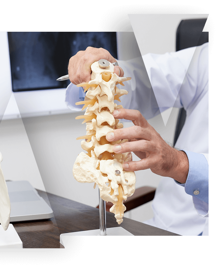 spinal-5